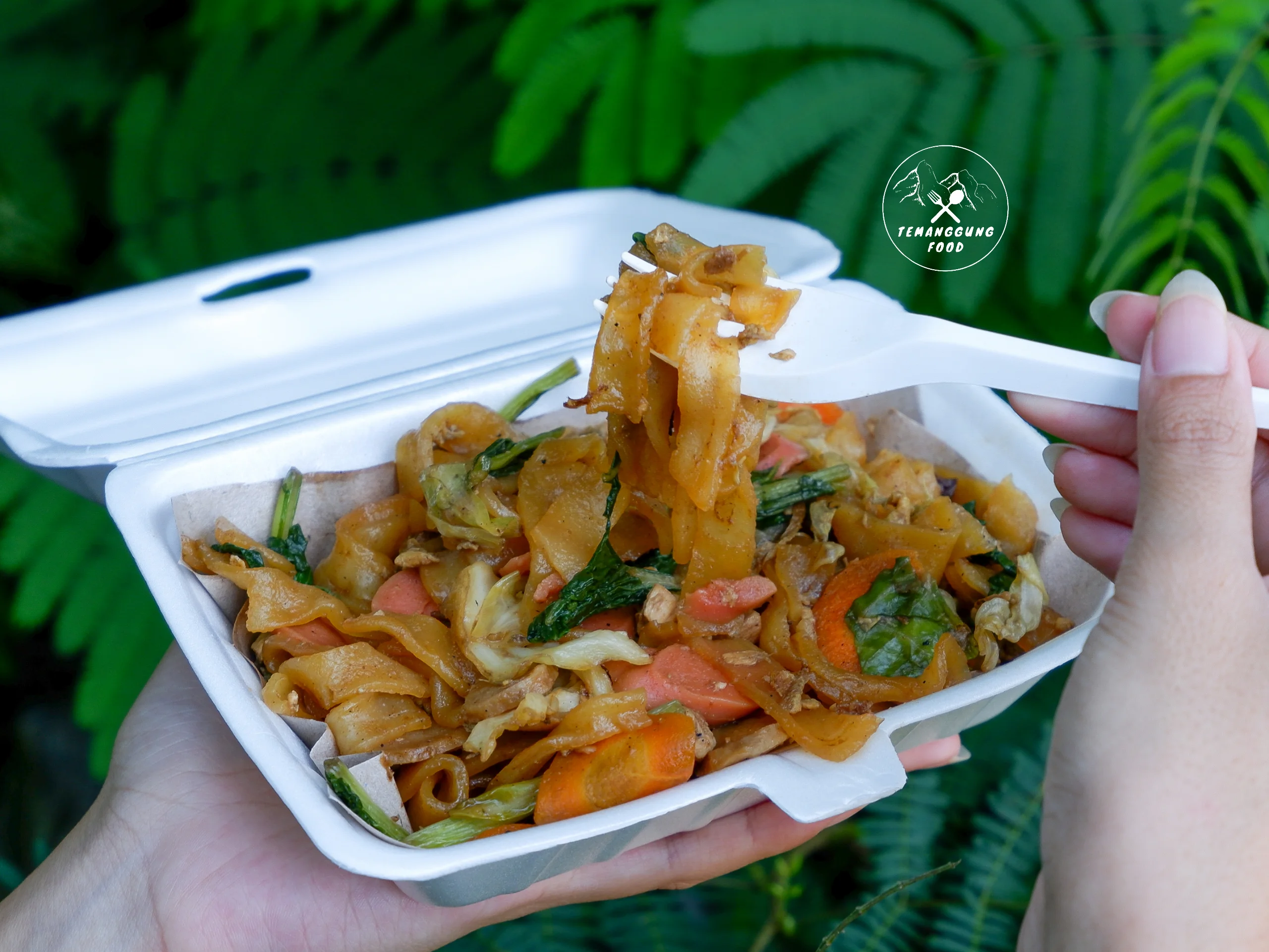 Kwetiau Goreng